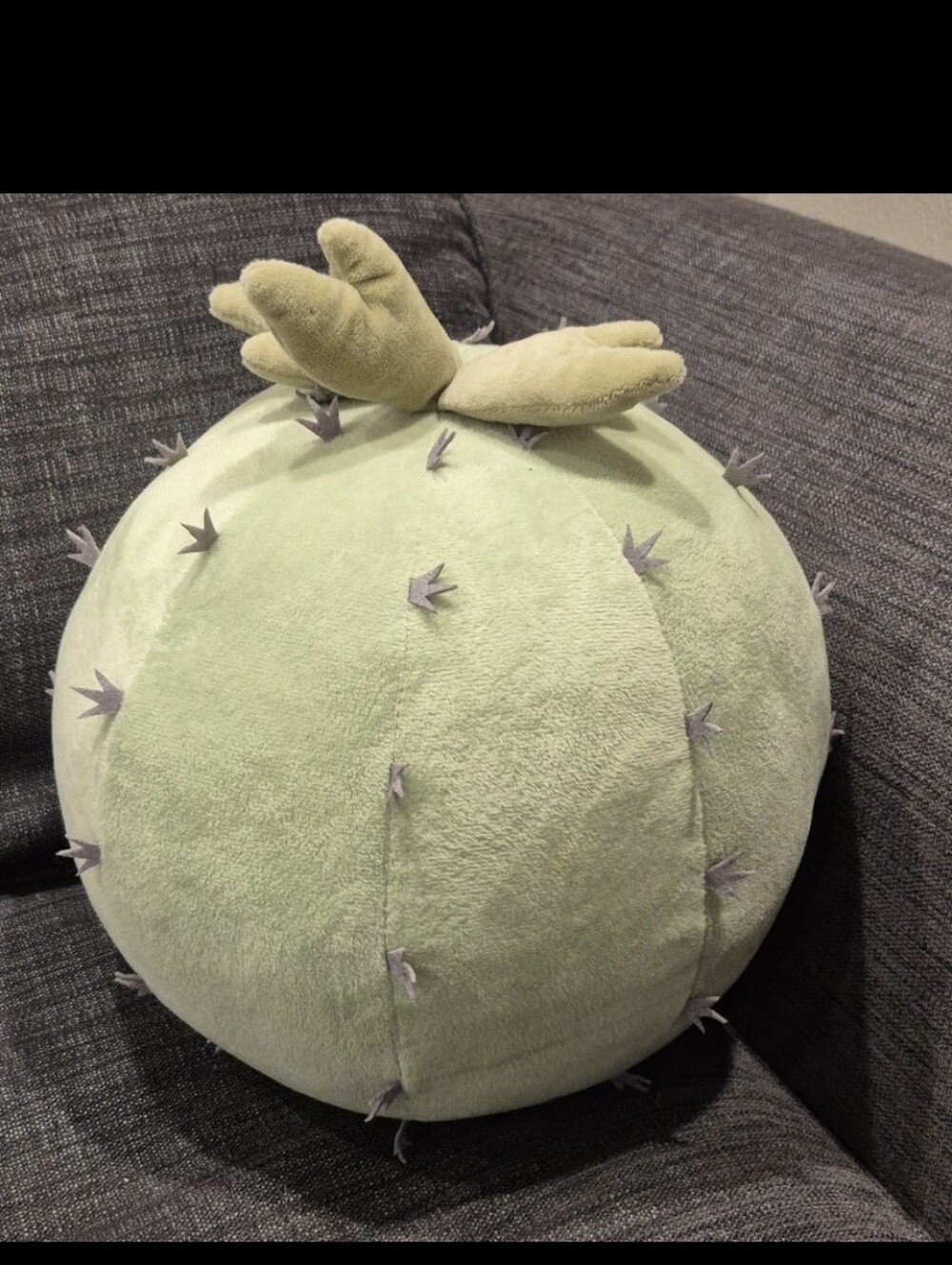 Cactus Plush / Pillow